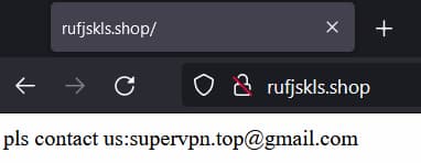 Screenshot of content on domain that received requests from VPN Proxy Speed containing PII